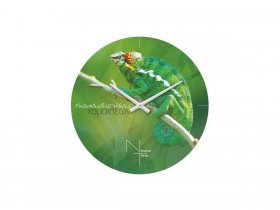 Часы настенные Nicole Time NT503 в Усть-Мае - ust-maya.mebel-nsk.ru | фото